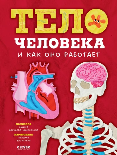 Inimese keha ja kuidas see töötab