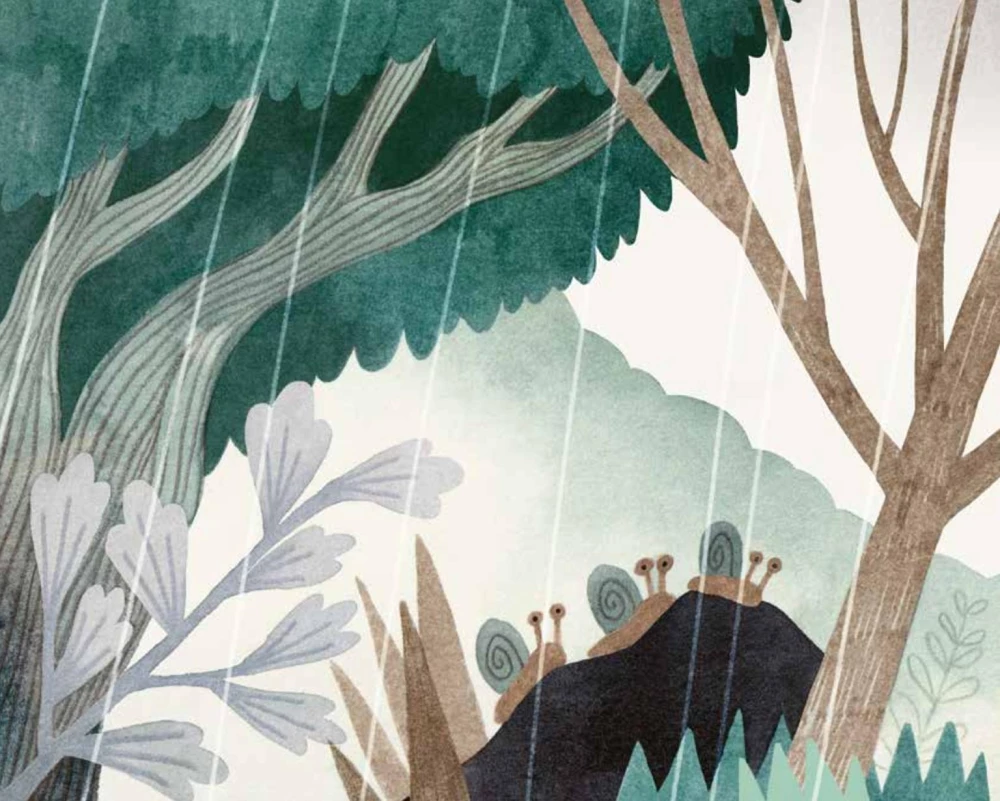 Rainy Day