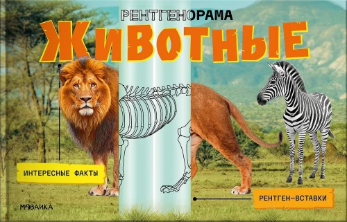 Рентгенорама. Животные