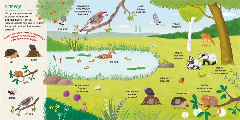 Musical Wimmelbuch. Animals. 25 Sounds