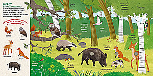 Musical Wimmelbuch. Animals. 25 Sounds
