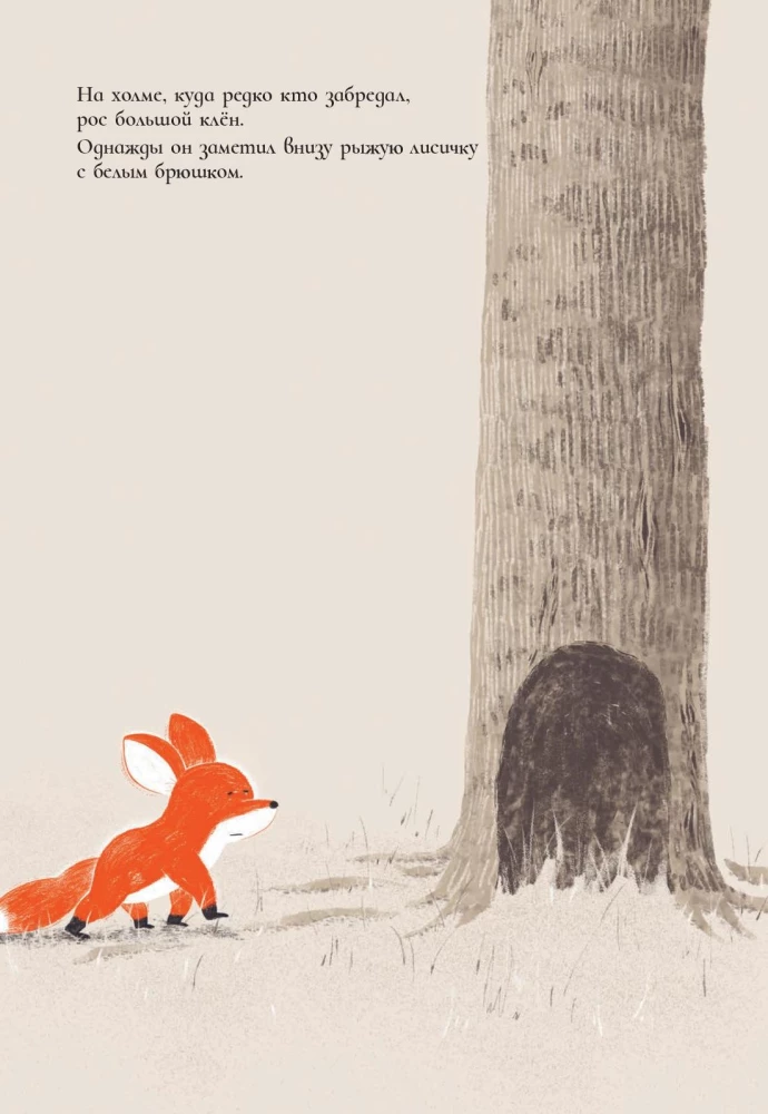 Der Fuchs und der Ahorn
