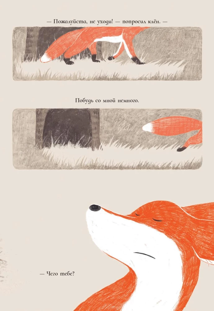 Der Fuchs und der Ahorn
