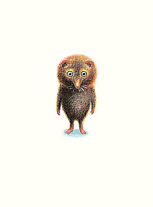 Mole Named Nosik