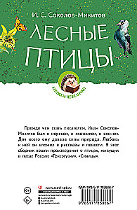 Лесные птицы