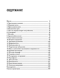 Inventing Consciousness. Emotions, Sensations, and Self-Perception
