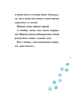 Шерлок Кот. Атака на самураев