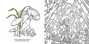 Legenden und Mythen. Fantastische Abenteuer