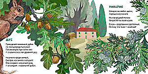 Trees