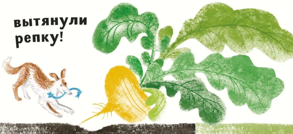 Rzepka (z ilustracjami Tanii Kormer)