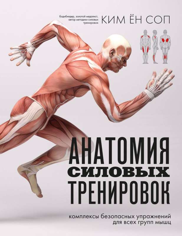 Anatomy of Strength Training