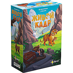 Board Game - Living Frame