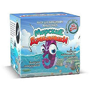 Set for Experiments and Experiments Sea Dragons