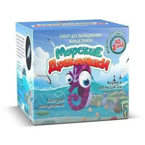 Set for Experiments and Experiments Sea Dragons