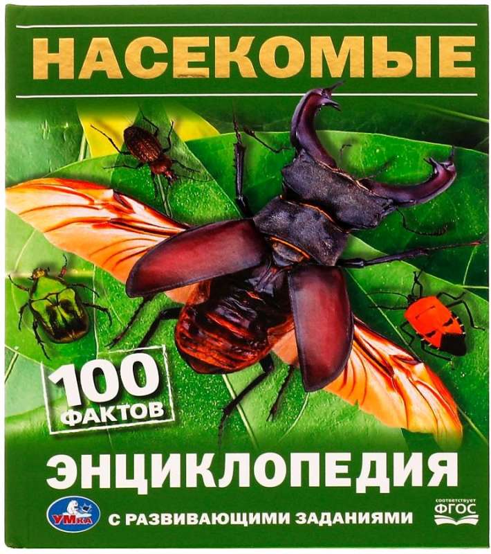 Insects. 100 Facts. Encyclopedia with Developmental Tasks