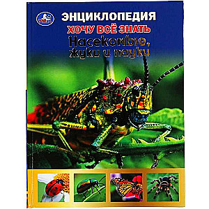 Insects, Beetles, and Spiders. I Want to Know Everything. Encyclopedia