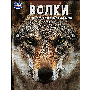 Wolves. In the Kingdom of Forest Hunters. Encyclopedia with Developing Tasks