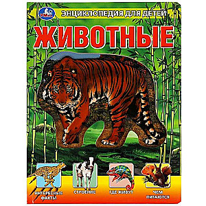 Encyclopedia for Children Animals