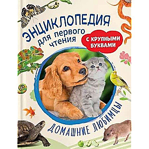 Pets