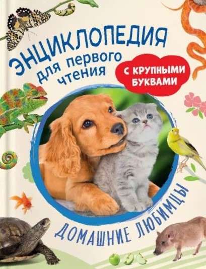 Pets