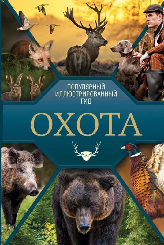 Hunting. A Popular Illustrated Guide