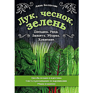 Onion, garlic, greens. Planting. Care. Protection. Harvesting. Storage