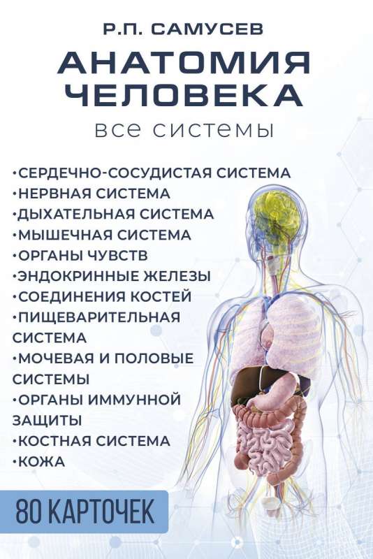 Anatomia człowieka. 80 karteczek. Wszystkie systemy