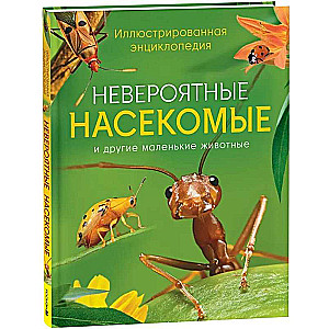 Incredible Insects