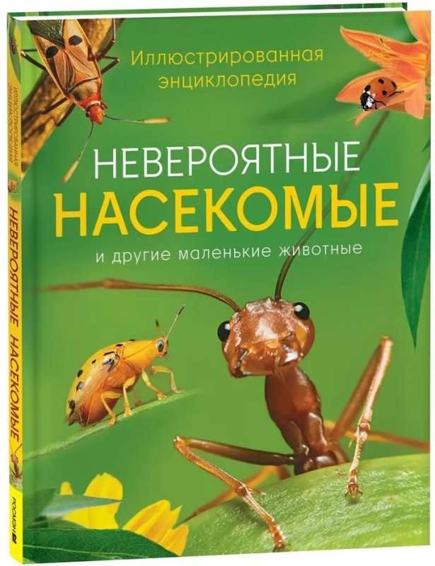 Incredible Insects