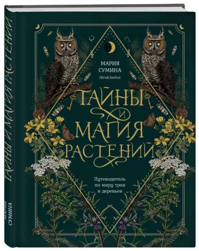 Secrets and Magic of Plants. A Guide to the World of Herbs and Trees