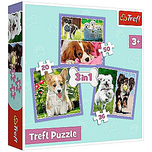 3in1 Trefl Puzzle: Lovely Dogs