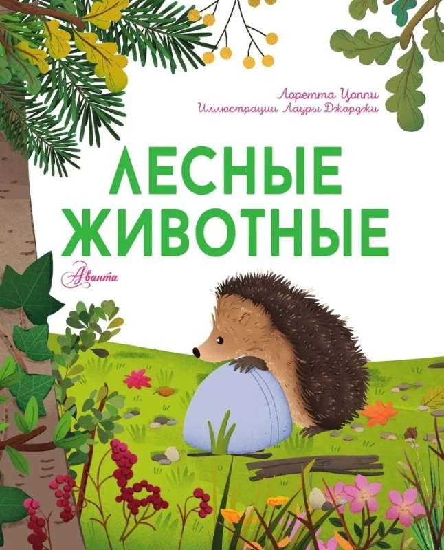 Forest Animals