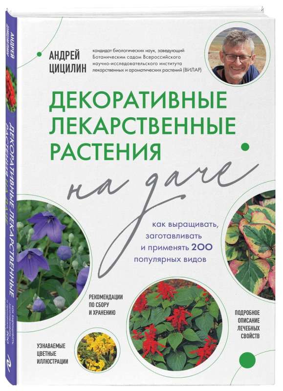 Decorative Medicinal Plants in the Garden