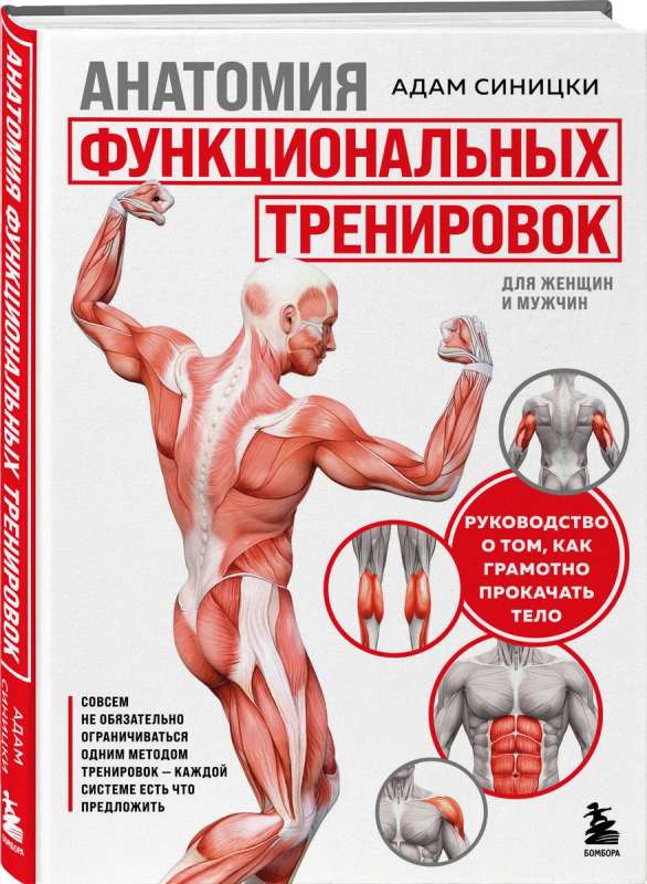Anatomia treningów funkcjonalnych. Przewodnik po tym, jak skutecznie poprawić swoje ciało