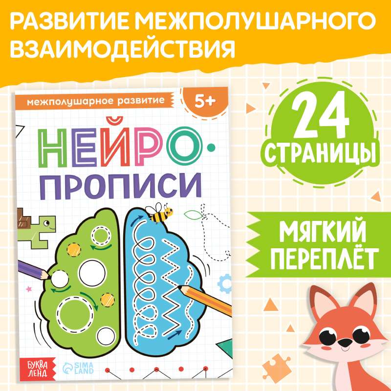 «Neurography. Interhemispheric Development»