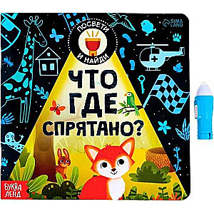Book with a flashlight "What is Hidden Where?"