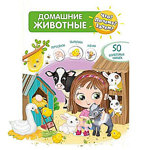 What? Why? For what? Pets. 50 Magical Windows