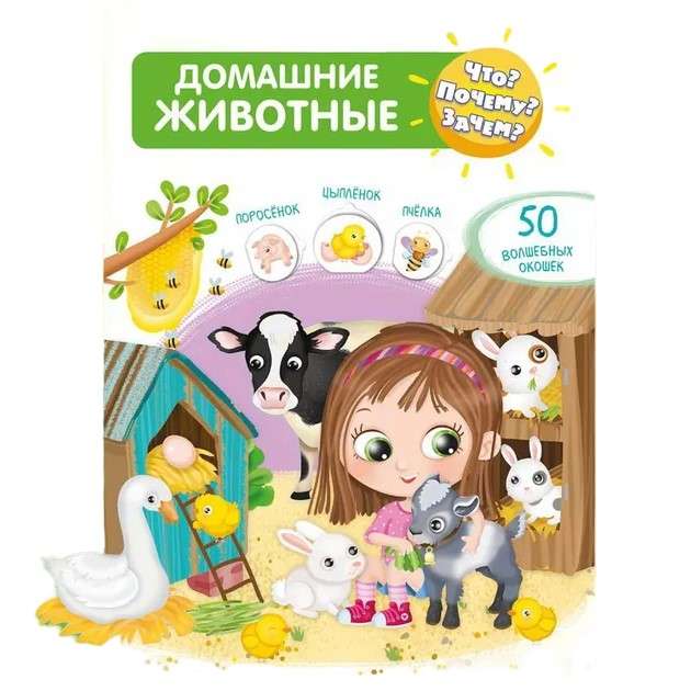 What? Why? For what? Pets. 50 Magical Windows