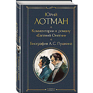 Comments on the novel "Eugene Onegin". Biography of A. S. Pushkin
