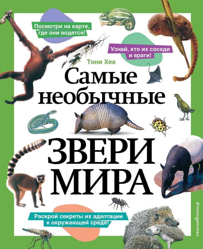 The Most Unusual Animals in the World