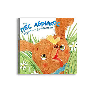 Apricot the Dog Studies and Remembers