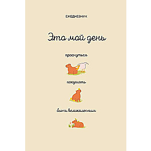 This is my day: wake up, eat, be awesome