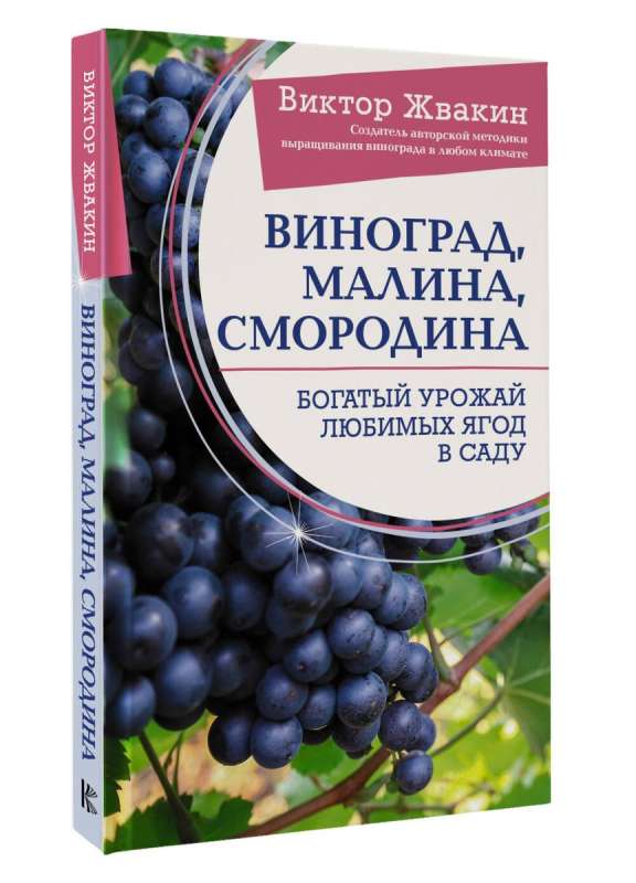 Grapes, raspberries, currants. A rich harvest of beloved berries in the garden