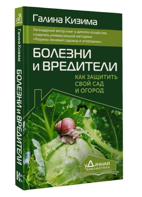 Diseases and Pests. How to Protect Your Garden and Vegetable Patch