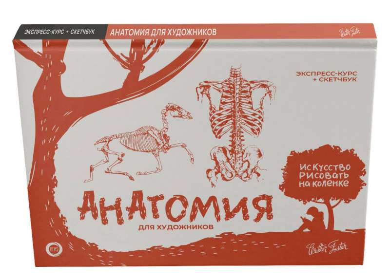 Anatomy for Artists. Express Course + Sketchbook