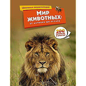 Dzīvnieku pasaule: no akvālija līdz jaguāram