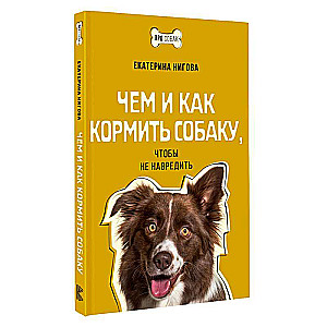 What and how to feed a dog so as not to harm