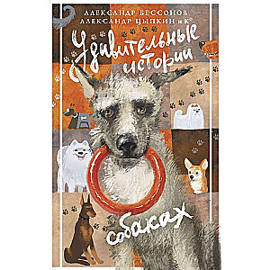 Amazing Stories About Dogs