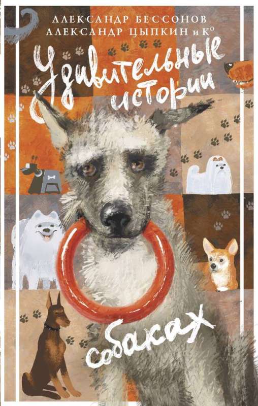 Amazing Stories About Dogs