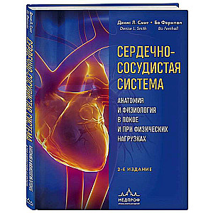 Cardiovascular system. Anatomy and physiology at rest and during physical activity